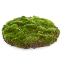 Afbeelding in Gallery-weergave laden, Round Moss Patch Green 25 cm