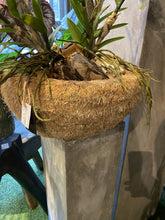 Afbeelding in Gallery-weergave laden, Cache Pot Stro