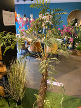 Afbeelding in Gallery-weergave laden, Varen Plant in Pot H140