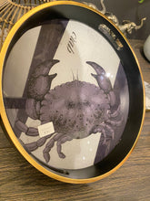 Afbeelding in Gallery-weergave laden, Plateau Schaaldier