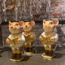 Afbeelding in Gallery-weergave laden, Souris Muis (per Stuk)