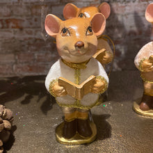 Afbeelding in Gallery-weergave laden, Souris Muis (per Stuk)