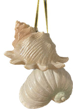 Afbeelding in Gallery-weergave laden, Schelp (per Stuk)