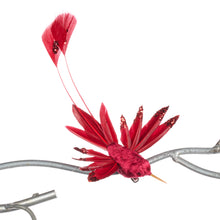 Afbeelding in Gallery-weergave laden, Feather Fabric Hummingbird on Clip Red Burgundy 19 cm
