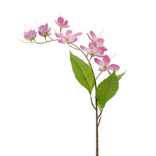 Afbeelding in Gallery-weergave laden, Asiatic Flower Stem Pink Purple Green 78 cm
