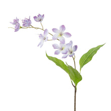 Afbeelding in Gallery-weergave laden, Asiatic Flower Stem Purple Green 78 cm
