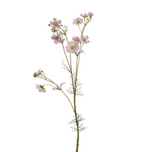 Afbeelding in Gallery-weergave laden, Cosmos Flower Stem White Purple Green 95 cm
